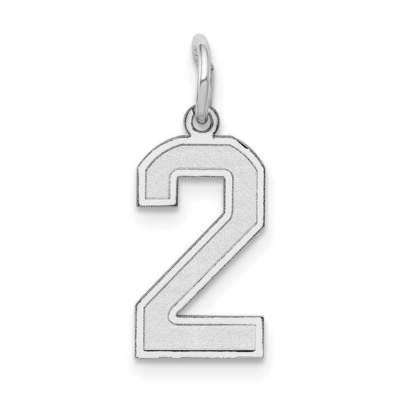 14k White Gold, Jersey Collection, Small Number 2 Pendant - Picture 1 of 5